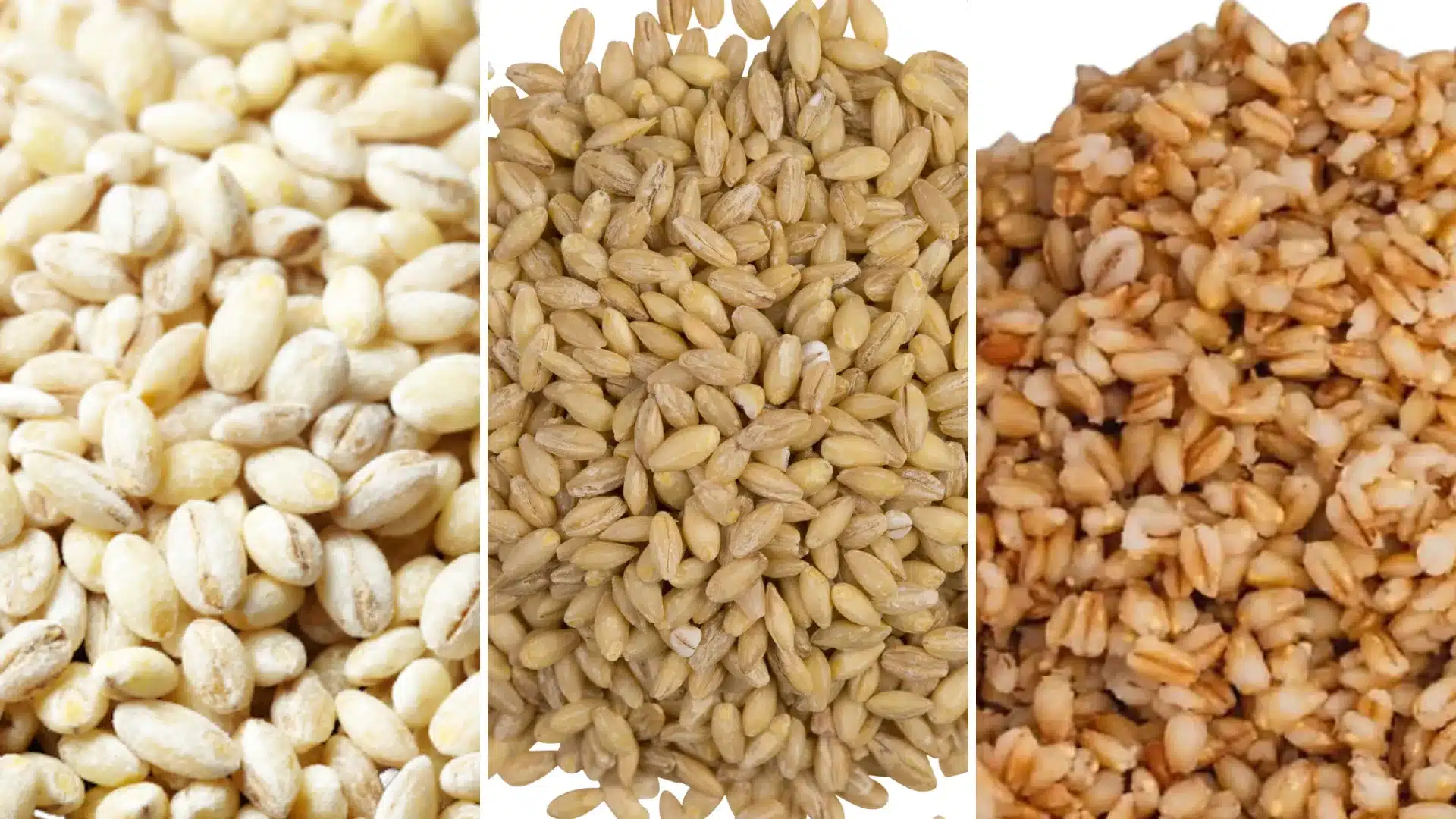 A collage of pearl barley, hulled barley, and cooked instant barley