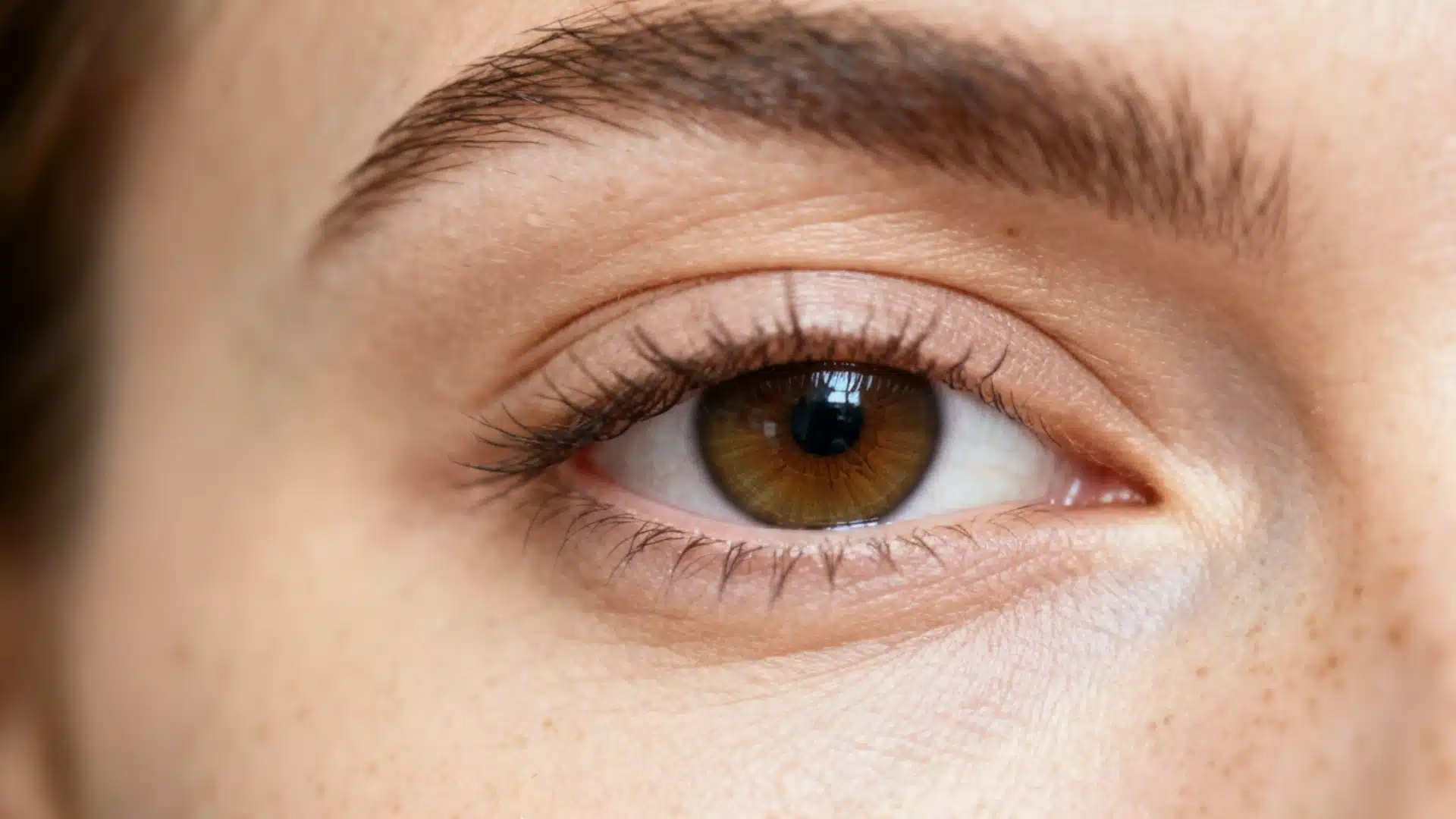 detailed close up of a brown eye with dark lashes and freckled skin showing the iris and eyebrow in natural bright light